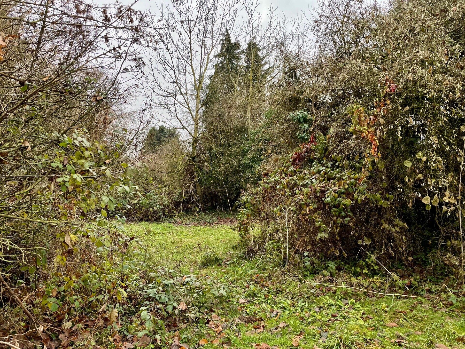 Immobilienangebot - Niddatal / Assenheim - Alle - RESERVIERT! Einfamilienhaus mit großem Gartenparadies – Sanierungsprojekt in bester Lage von Niddatal-Assenheim