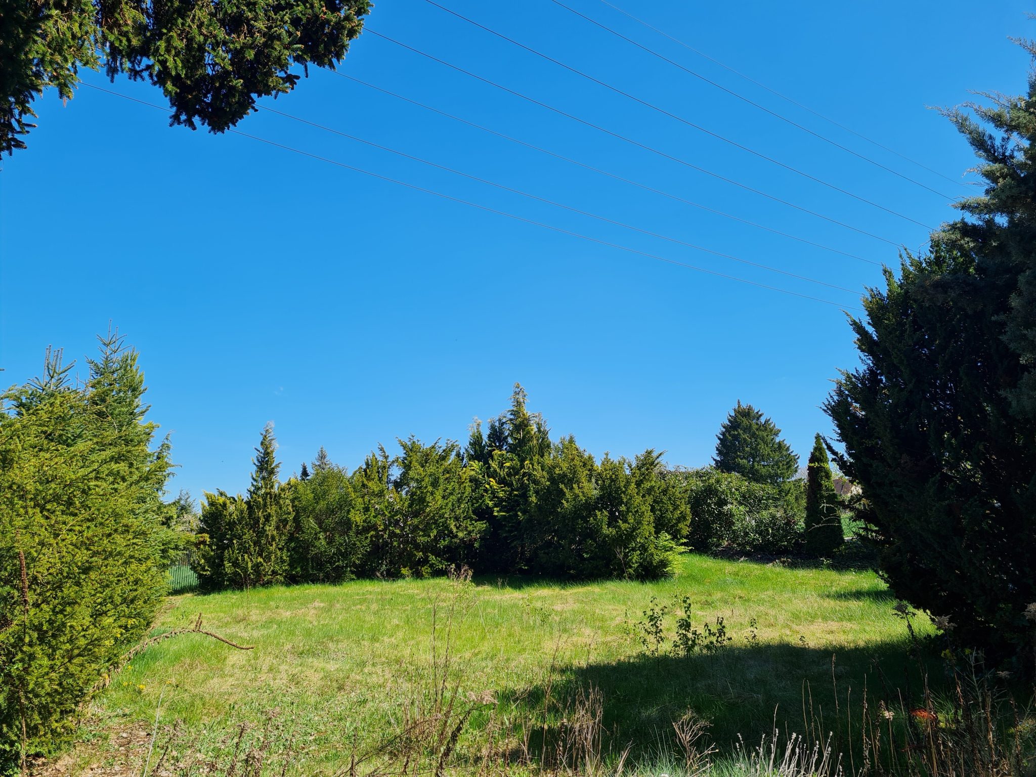 Immobilienangebot - Schwabach - Alle - Nur noch 1 Haus frei! Neubau-Doppelhaushälfte mit großem Grundstück in herrlich naturnaher Wohnlage