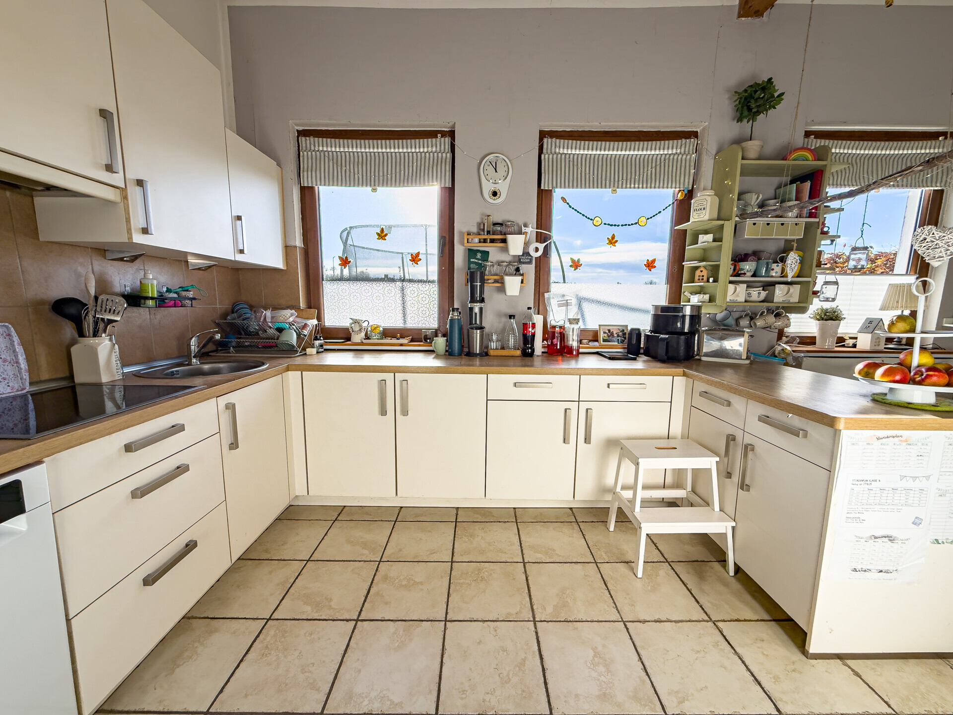 Immobilienangebot - Butjadingen - Alle - Charmantes Einfamilienhaus mit Einliegerwohnung und guten Möglichkeiten für Pferdehaltung
