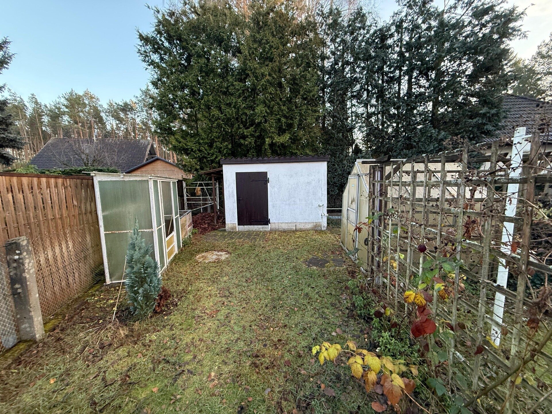 Immobilienangebot - Treuenbrietzen - Alle - Wohnen am Waldrand – Gepflegtes Einfamilienhaus mit großem Potenzial und idealer Lage in Treuenbrietzen
