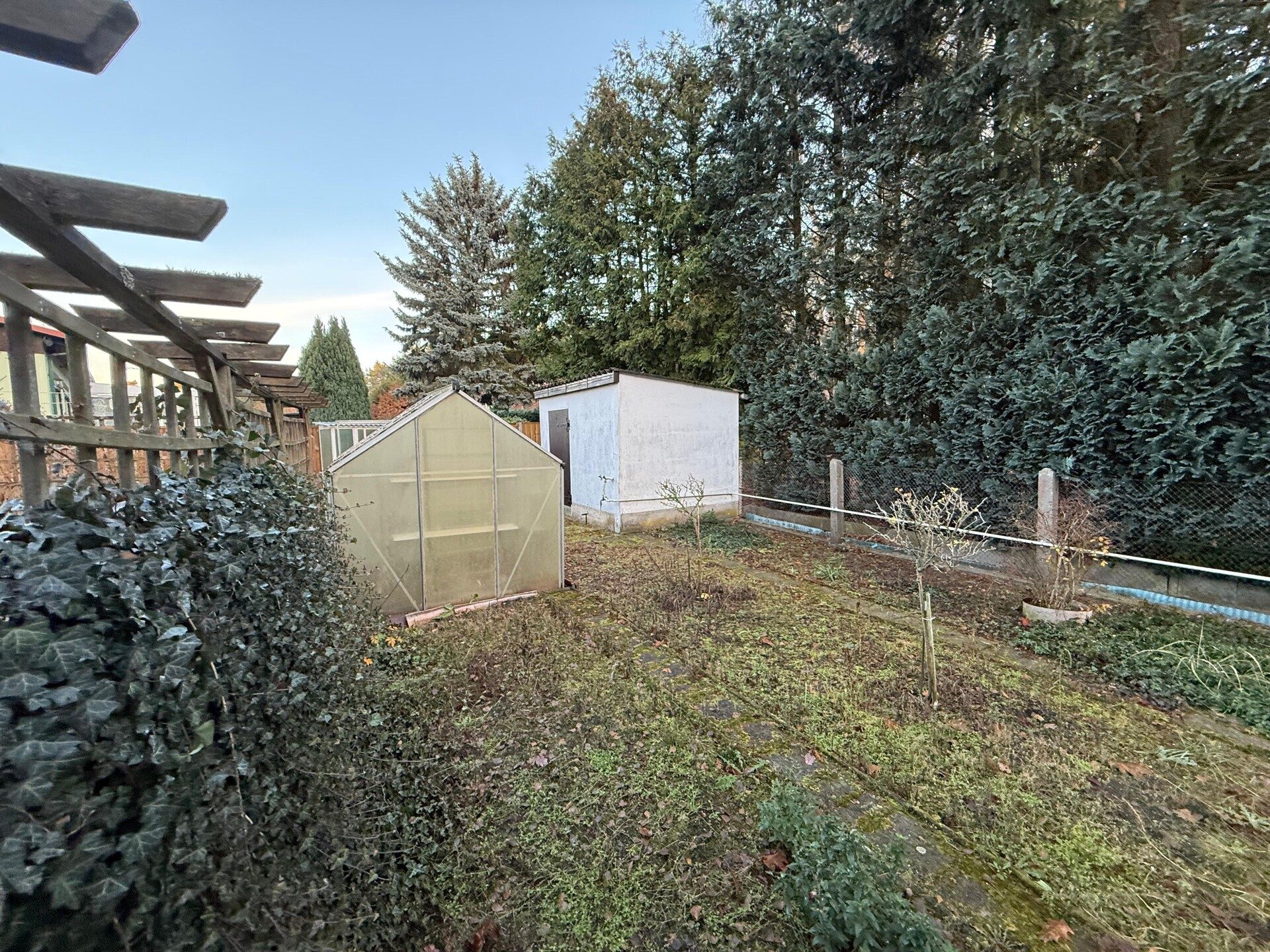 Immobilienangebot - Treuenbrietzen - Alle - Wohnen am Waldrand – Gepflegtes Einfamilienhaus mit großem Potenzial und idealer Lage in Treuenbrietzen