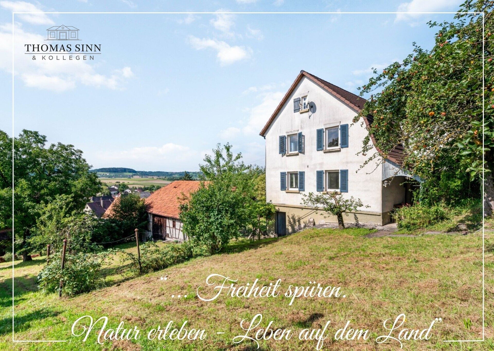Immobilienangebot - Öhringen / Michelbach am Wald - Alle - Sanierungsbedürftiges Weinbauernidyl mit Scheune sucht Dorfliebhaber
