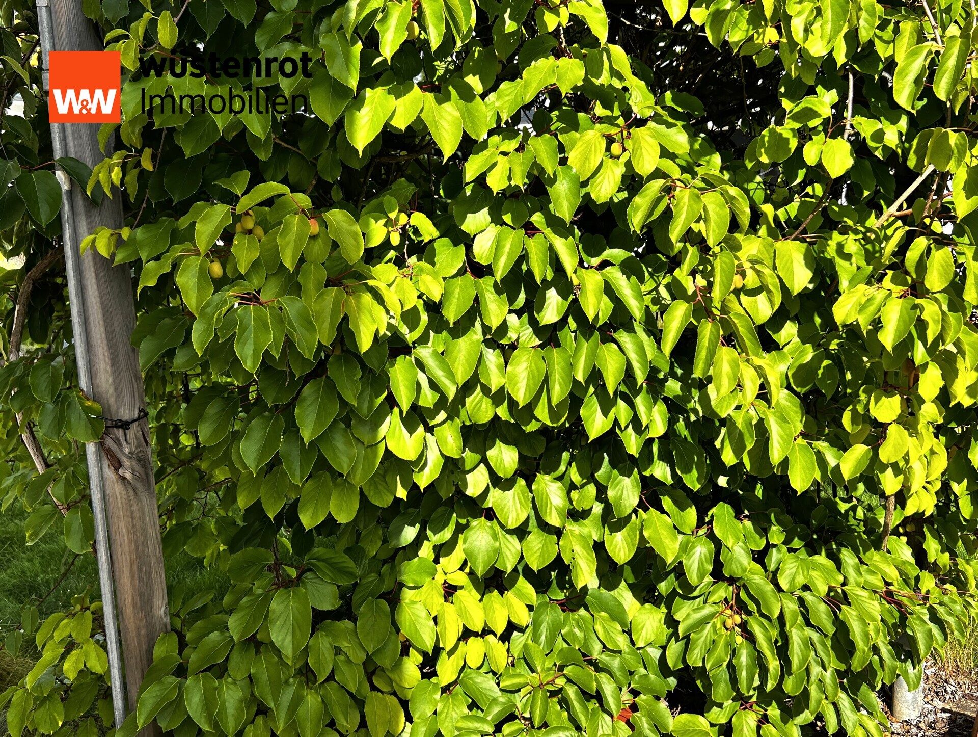 Immobilienangebot - München - Alle - Zweifamilienhaus auf großem Grundstück in München mit Sauna, modernem Pool und viel Potenzial