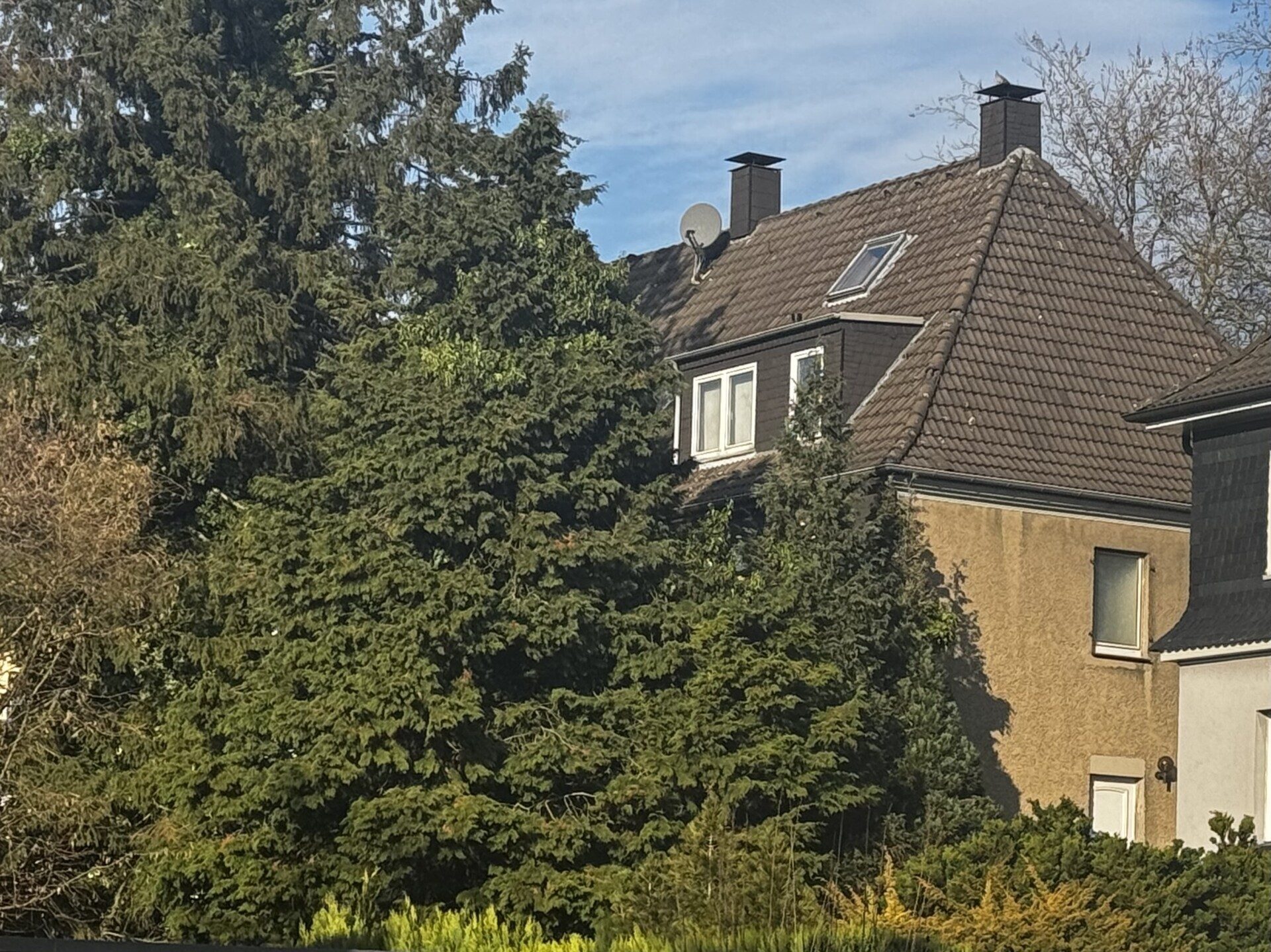 Immobilienangebot - Velbert - Alle - Solides Reiheneckhaus mit 3 Wohneinheiten und großem Garten