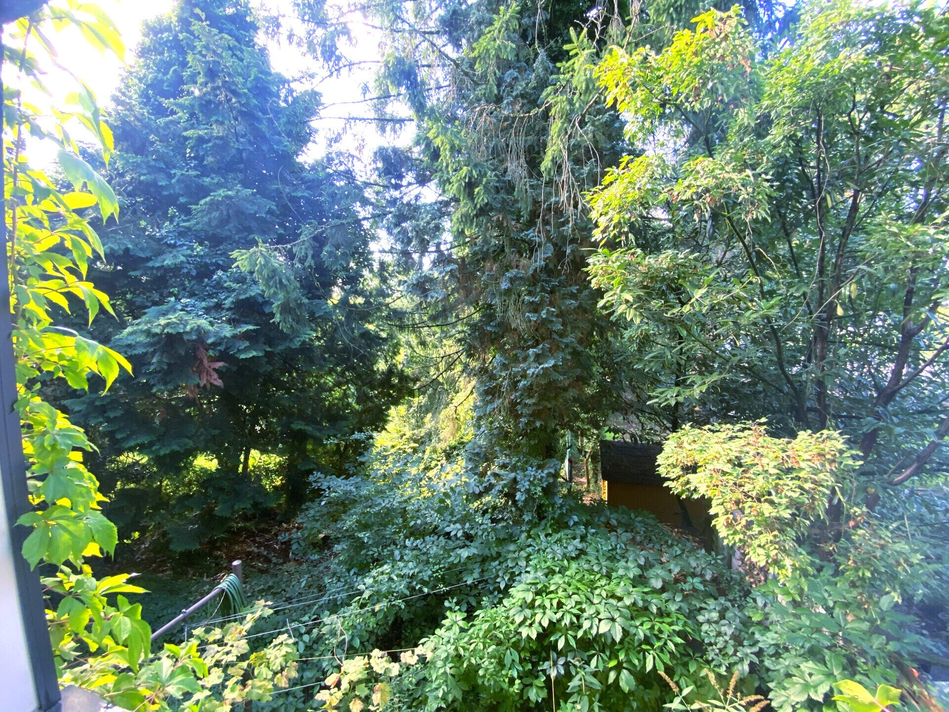 Immobilienangebot - Velbert - Alle - Solides Reiheneckhaus mit 3 Wohneinheiten und großem Garten