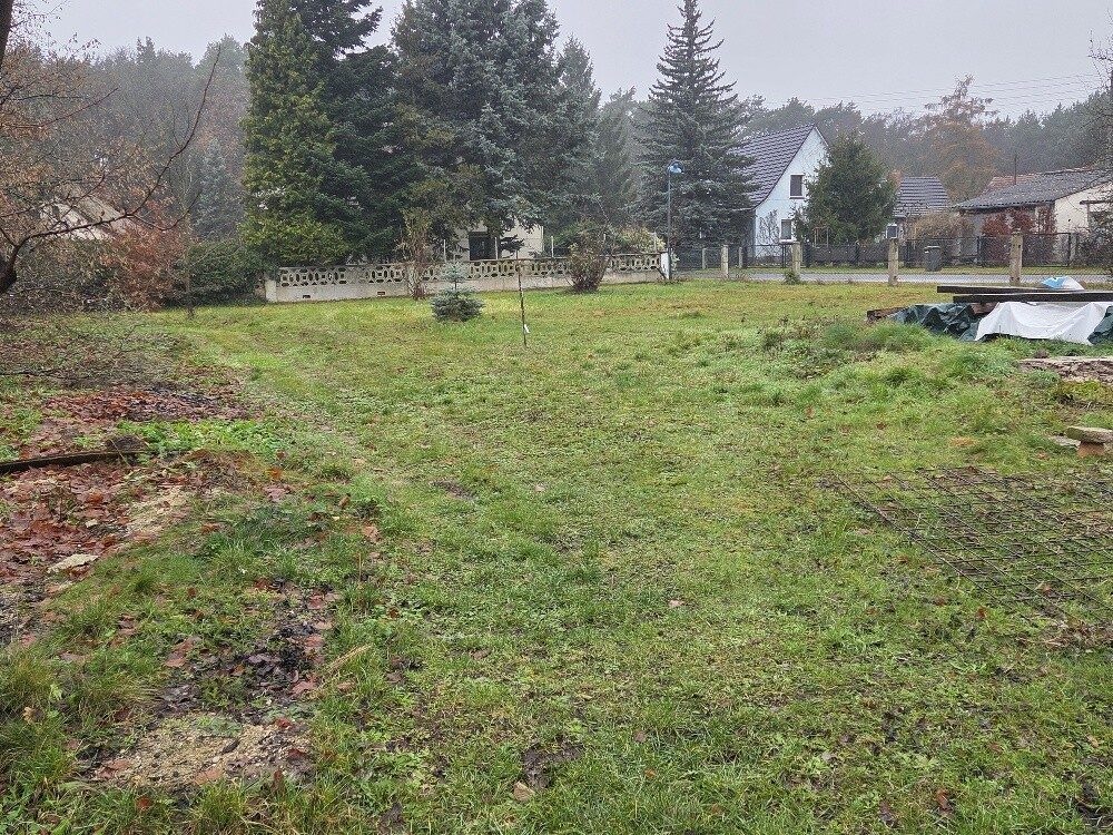 Immobilienangebot - Boxberg/Oberlausitz - Alle - Großzügiges Einfamilienhaus in Klein-Oelsa
