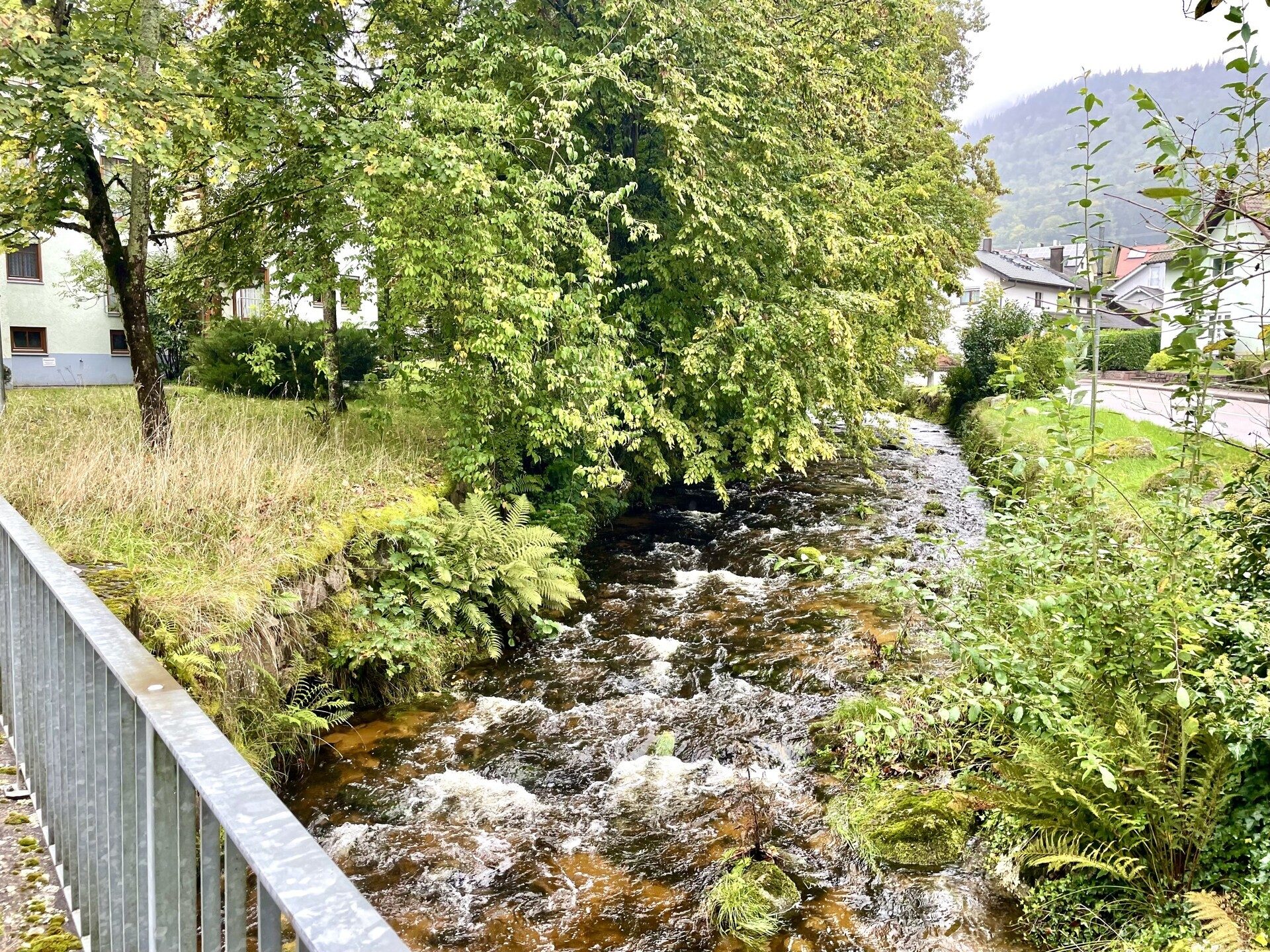 Immobilienangebot - Baden-Baden / Geroldsau - Alle - *INTERESSANTE KAPITALANLAGE IN BADEN-BADEN: 2 Zimmerwohnung mit Balkon und TG-Stellplatz, naturnah*