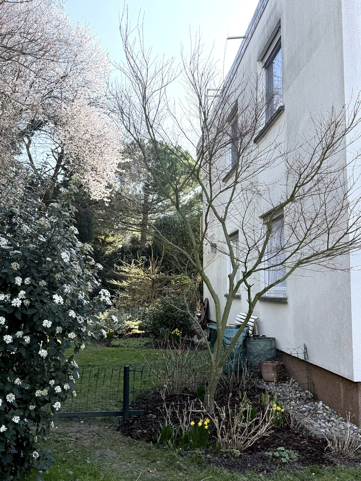 Immobilienangebot - Weinheim - Alle - Wohntraum auf 120m² in Weinheim mit Blick in die Rheinebene