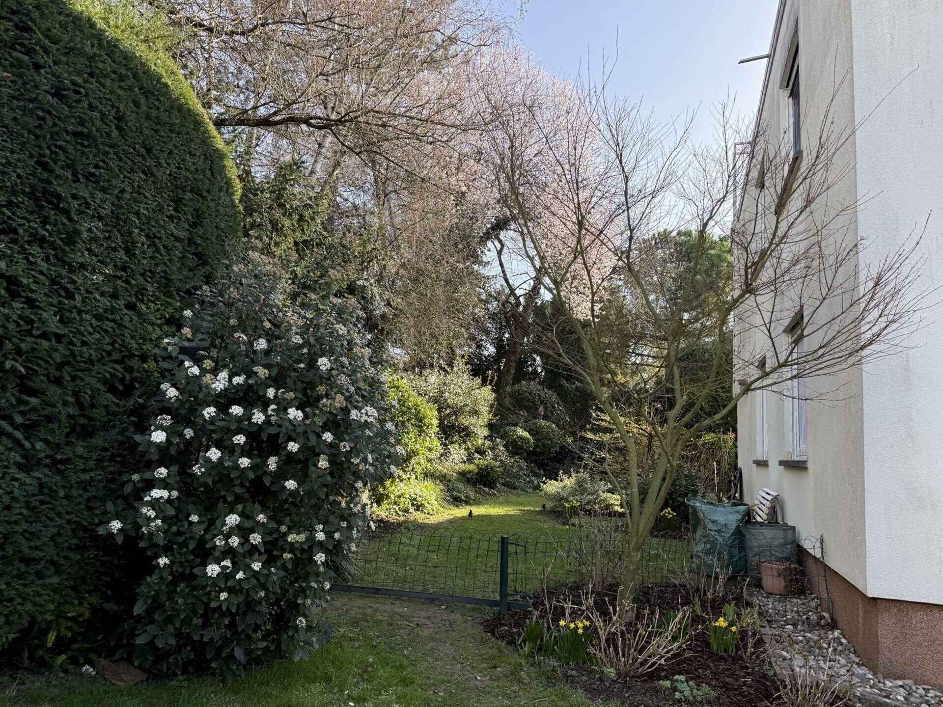 Immobilienangebot - Weinheim - Alle - Wohntraum auf 120m² in Weinheim mit Blick in die Rheinebene