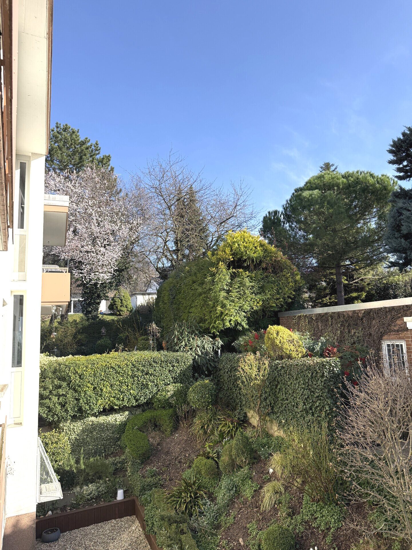 Immobilienangebot - Weinheim - Alle - Wohntraum auf 120m² in Weinheim mit Blick in die Rheinebene