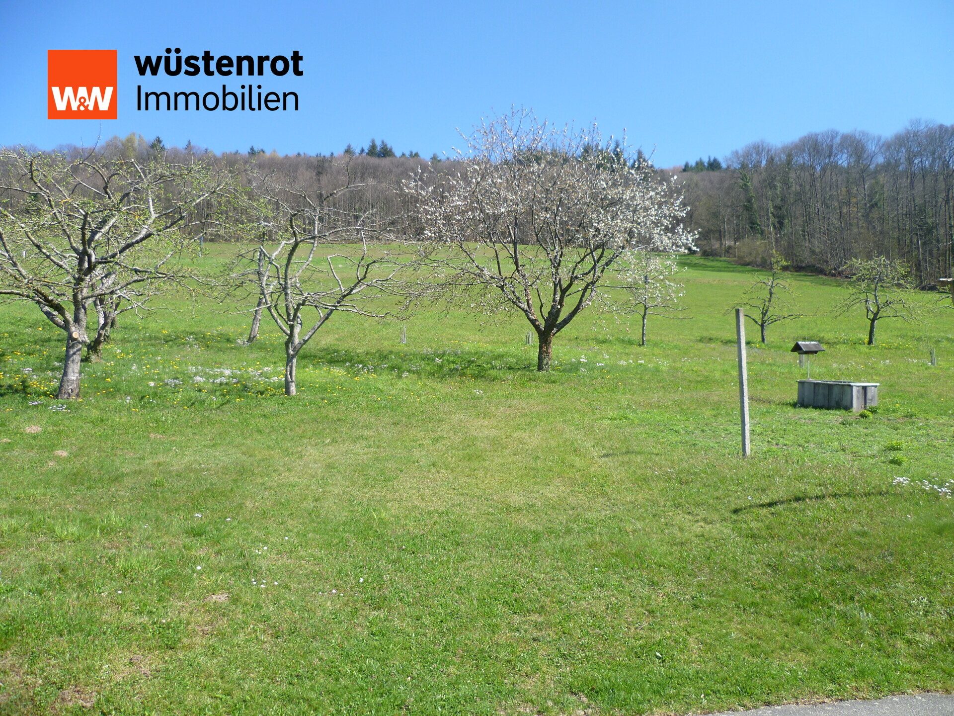 Immobilienangebot - Sasbachwalden - Alle - Ehemaliges Bauernhaus in Sasbachwalden - 
Anwesen mit 2 Wohnungen