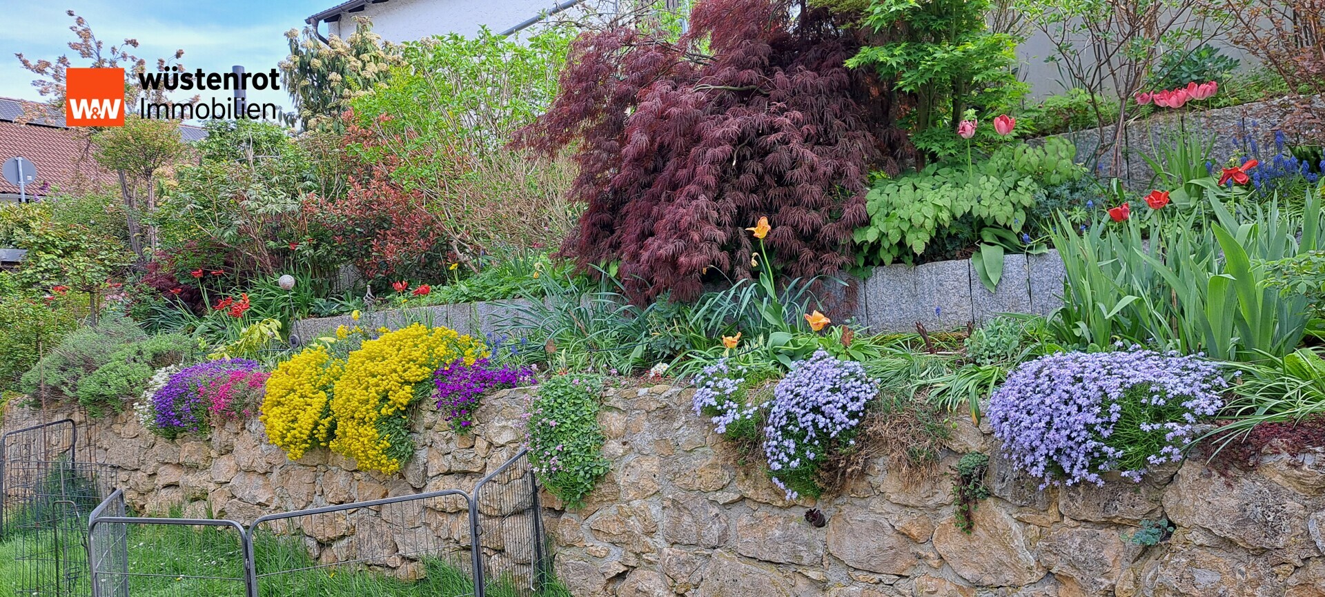 Immobilienangebot - Pfaffenhofen an der Ilm / Affalterbach - Alle - Mit A+ energetisch top! Modernes Familienhaus mit großer Einliegerwohnung und Pool