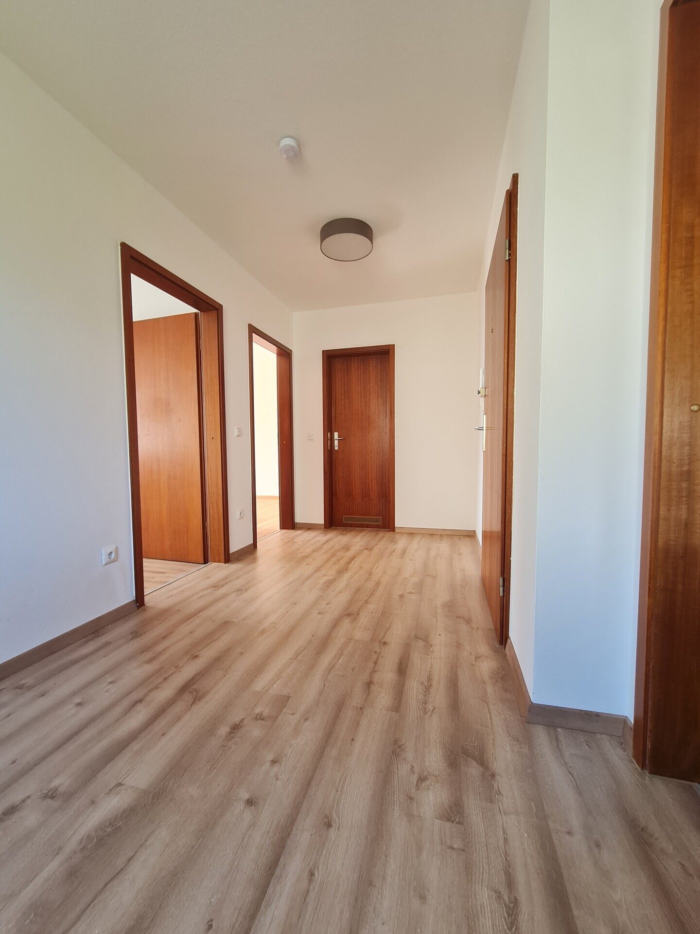 Immobilienangebot - Neuhaus am Inn - Alle - Traumhafte 2-Zi-EG-Wohnung - perfekter Schnitt, sonnig, hell und komplett renoviert - top Chance !