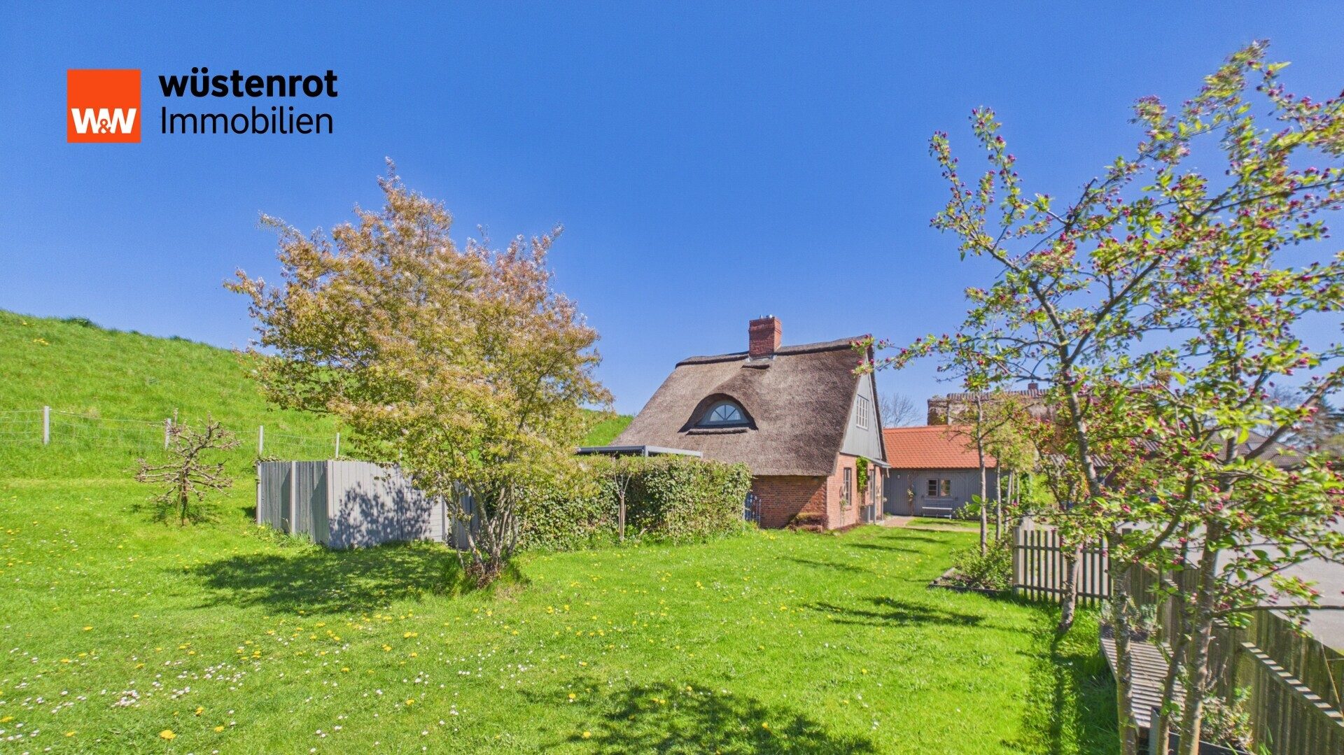 Immobilienangebot - Seestermühe - Alle - Traum-Reetdachkate am Elbdeich
