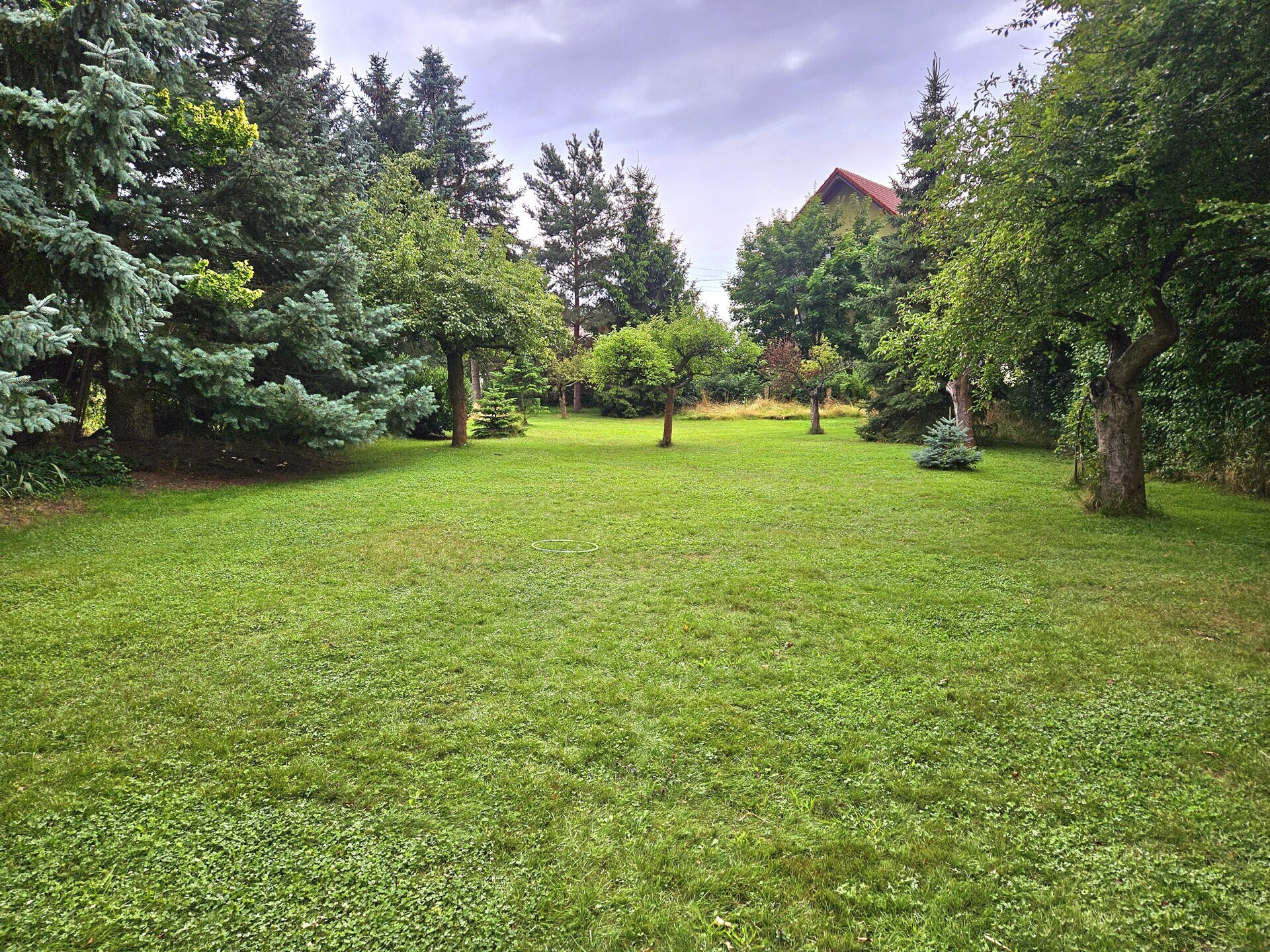 Immobilienangebot - Weißenberg / Kotitz - Alle - -Moderne trifft Gemütlichkeit- 
Einfamilienhaus mit großem Garten in Kotitz