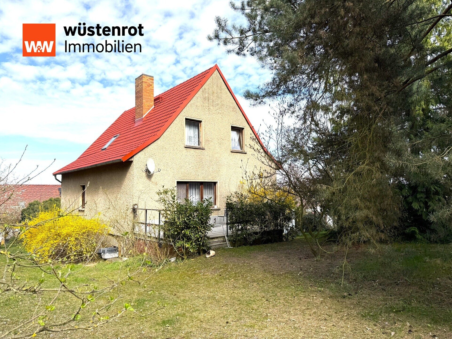 Immobilienangebot - Seelow-Werbig - Alle - Einfamilienhaus mit großem Grundstück in Seelow-Werbig