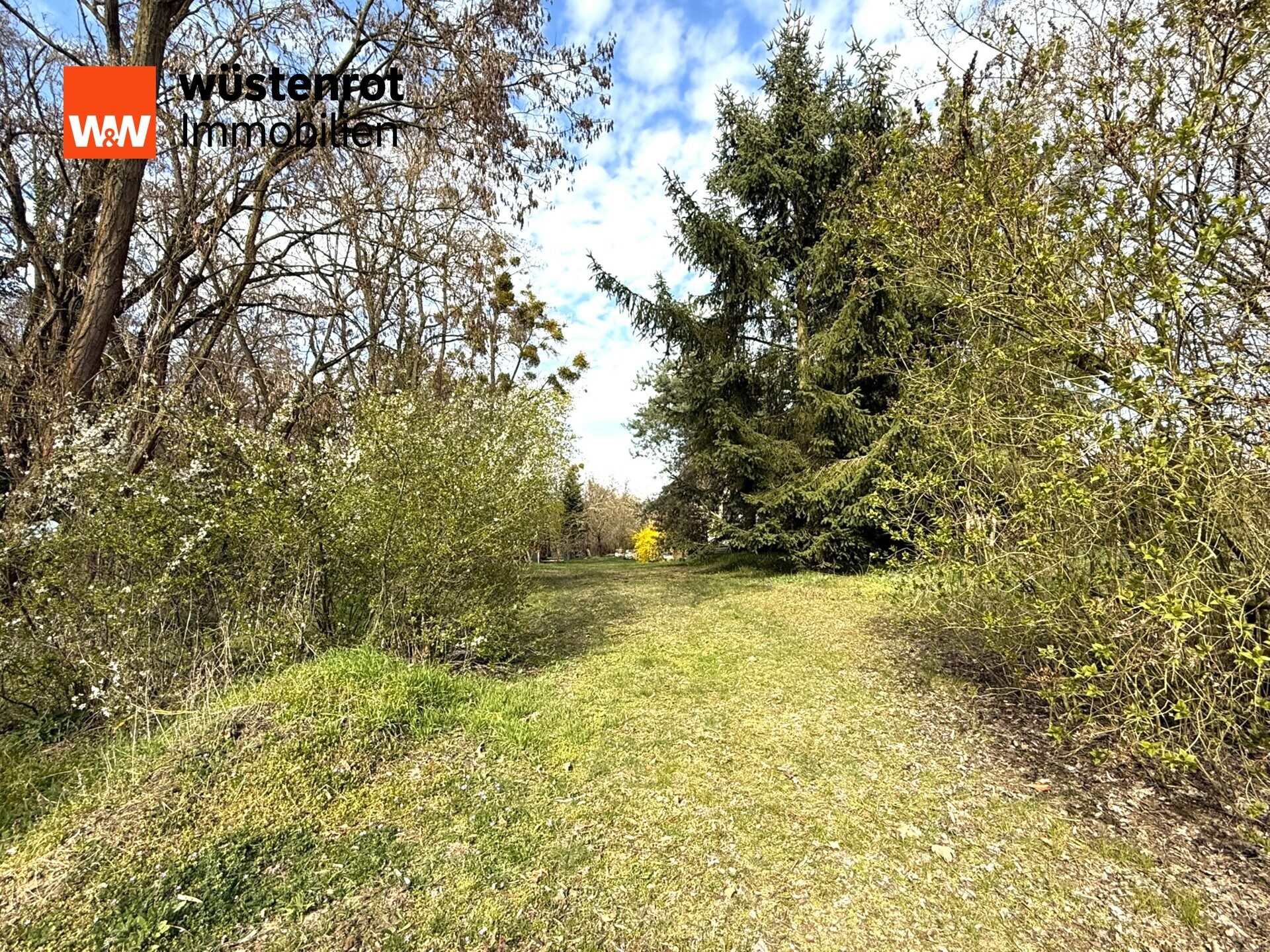 Immobilienangebot - Seelow-Werbig - Alle - Einfamilienhaus mit großem Grundstück in Seelow-Werbig