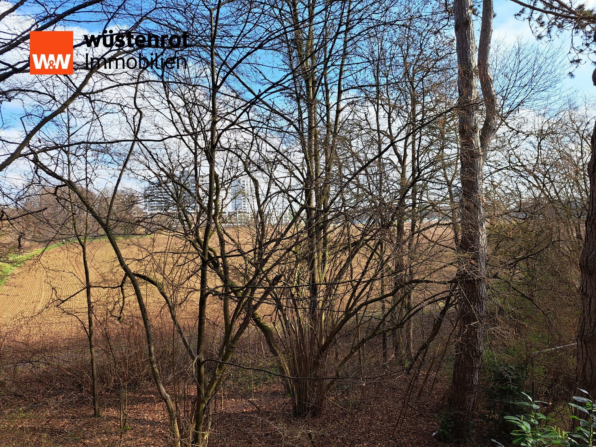 Immobilienangebot - München - Alle - Großzügige 3-Zi.-Whg. im 1. OG mit über 40 m² umlaufendem Balkon