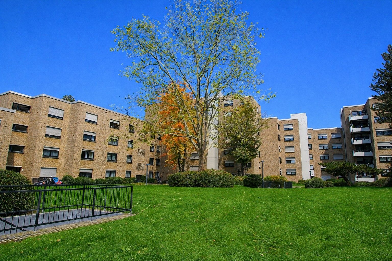 Immobilienangebot - Bonn / Tannenbusch - Alle - Gut geschnittene, barrierearme und bezugsfreie 4 Zimmer-Wohnung mit Balkon und Tiefgaragenstellplatz
