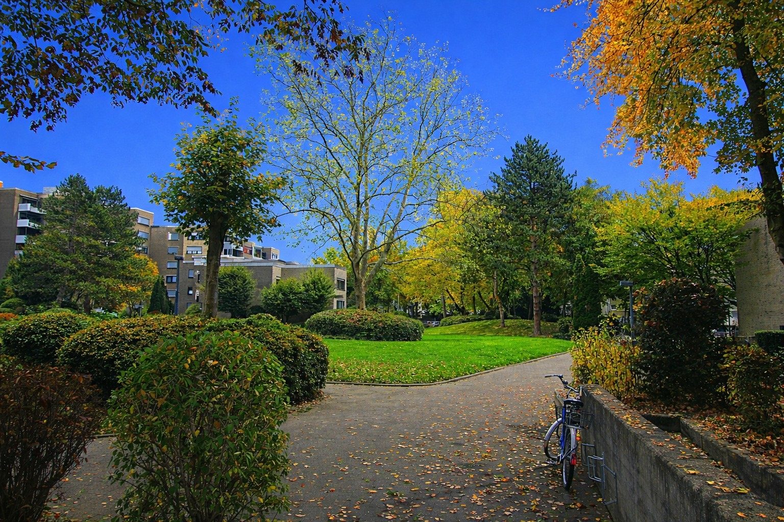 Immobilienangebot - Bonn / Tannenbusch - Alle - Gut geschnittene, barrierearme und bezugsfreie 4 Zimmer-Wohnung mit Balkon und Tiefgaragenstellplatz