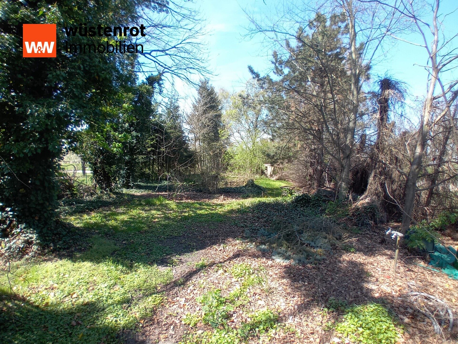 Immobilienangebot - Ragow-Merz / Merz - Alle - Gemütlicher Bungalow mit Erweiterungspotenzial bei Beeskow zu verkaufen. Schauen Sie vorbei...