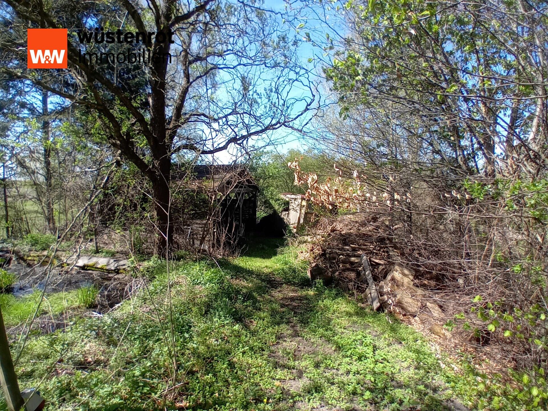 Immobilienangebot - Ragow-Merz / Merz - Alle - Gemütlicher Bungalow mit Erweiterungspotenzial bei Beeskow zu verkaufen. Schauen Sie vorbei...