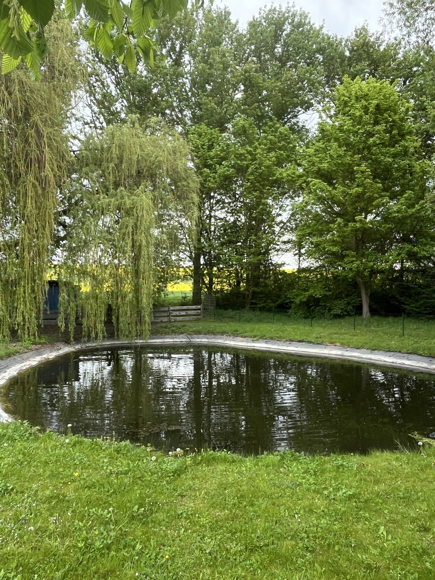 Immobilienangebot - Mühlhausen/Thüringen - Alle - Außergewöhnlicher Landgasthof - alte Mühle
Hotel, Eventlocation, Wohnimmobilien &  30.000 m² Grdstk.