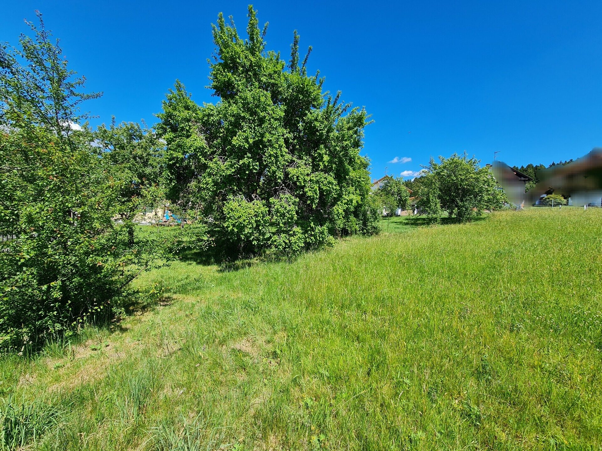 Immobilienangebot - Grafenau - Alle - Traumgrundstück in Grafenau/Elmberg!
Sonnige Aussichtslage, kein Bauzwang erschlossen u. projektiert