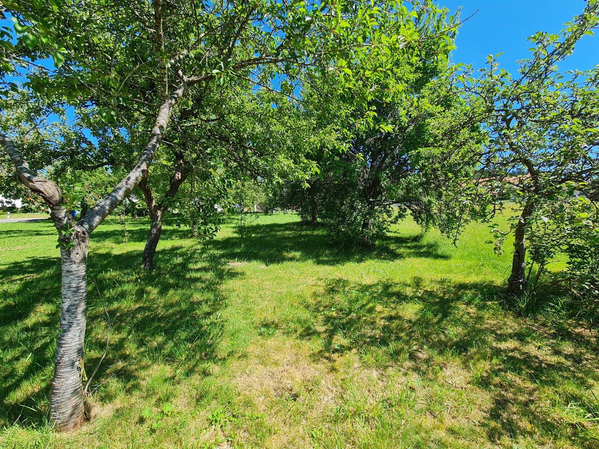 Immobilienangebot - Grafenau - Alle - Traumgrundstück in Grafenau/Elmberg!
Sonnige Aussichtslage, kein Bauzwang erschlossen u. projektiert