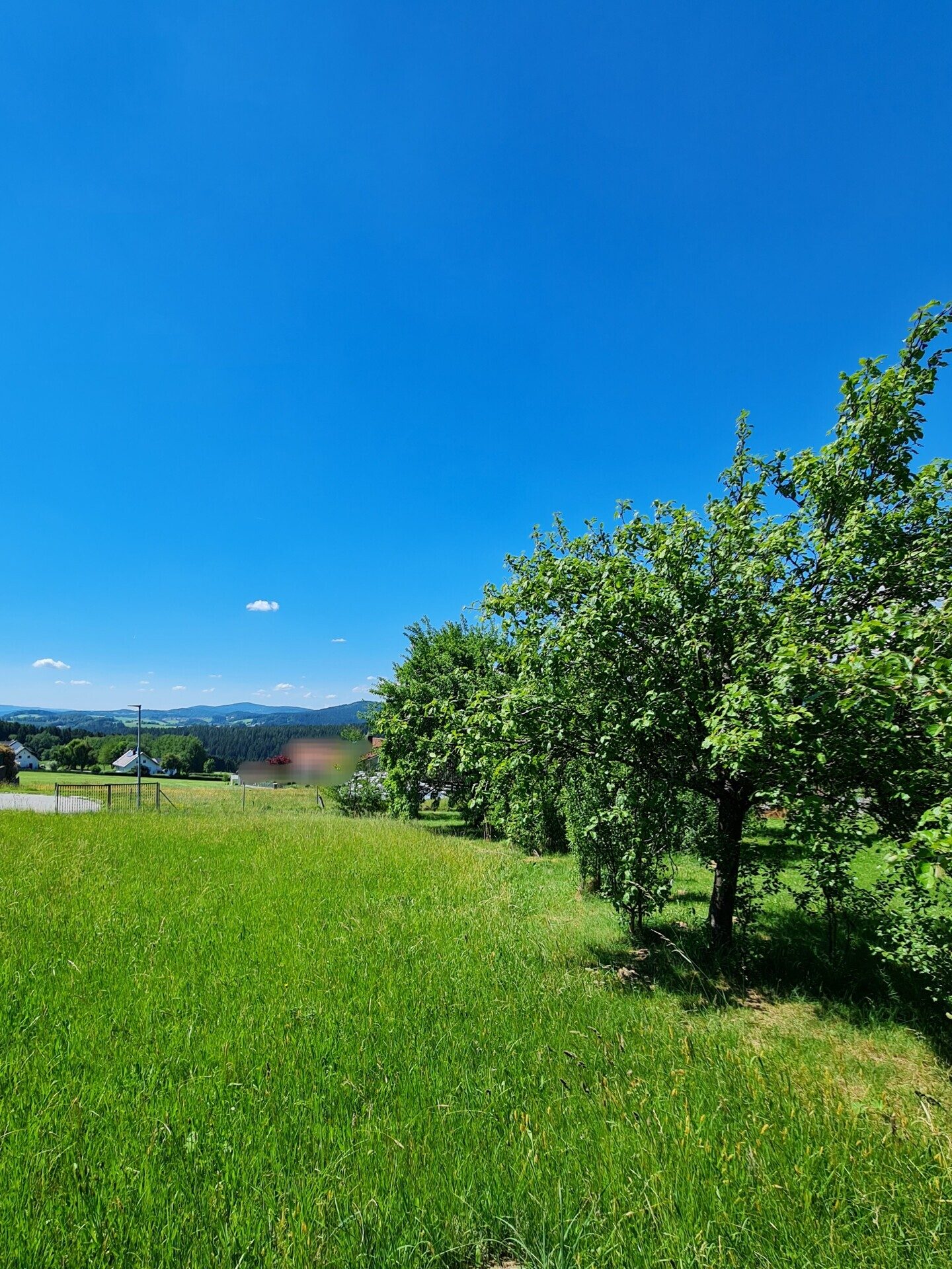 Immobilienangebot - Grafenau - Alle - Traumgrundstück in Grafenau/Elmberg!
Sonnige Aussichtslage, kein Bauzwang erschlossen u. projektiert