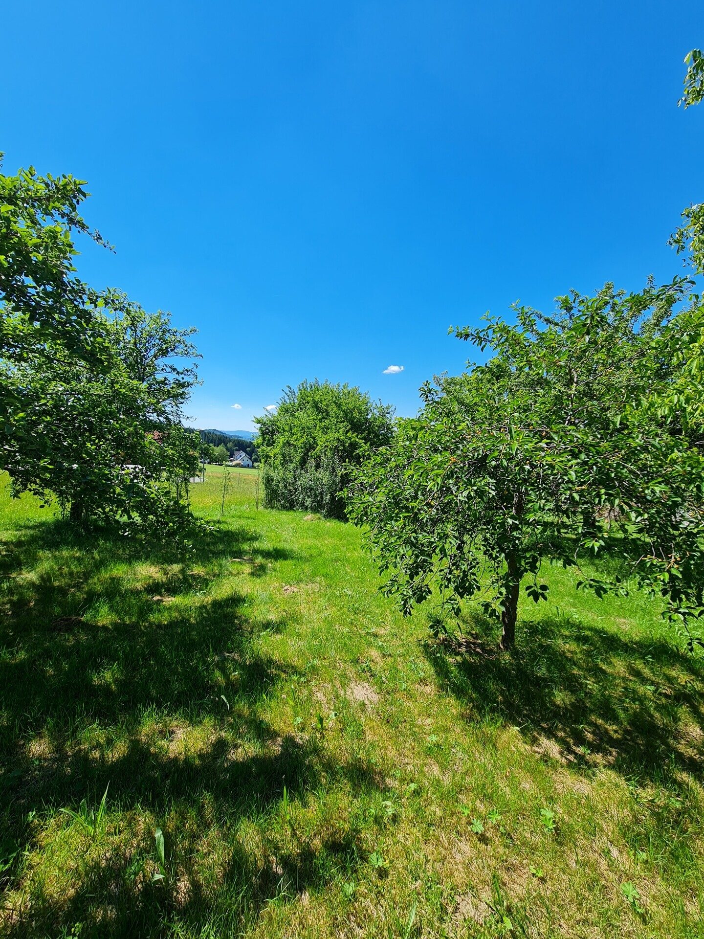 Immobilienangebot - Grafenau - Alle - Traumgrundstück in Grafenau/Elmberg!
Sonnige Aussichtslage, kein Bauzwang erschlossen u. projektiert