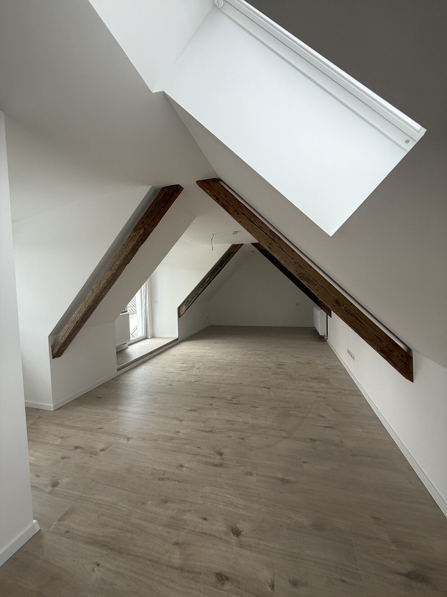 Immobilienangebot - Zeiskam - Alle - Zwei hochwertig kernsanierte DHH mit Wärmepumpe und Photovoltaik, großer Scheune + Garten in Zeiskam