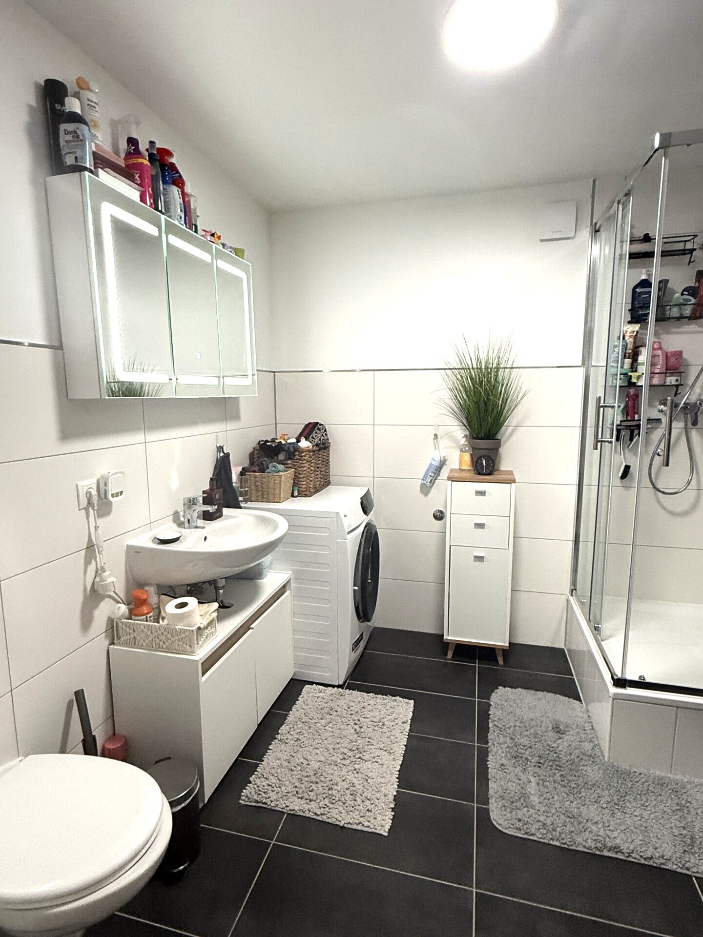 Immobilienangebot - Zeiskam - Alle - Zwei hochwertig kernsanierte DHH mit Wärmepumpe und Photovoltaik, großer Scheune + Garten in Zeiskam