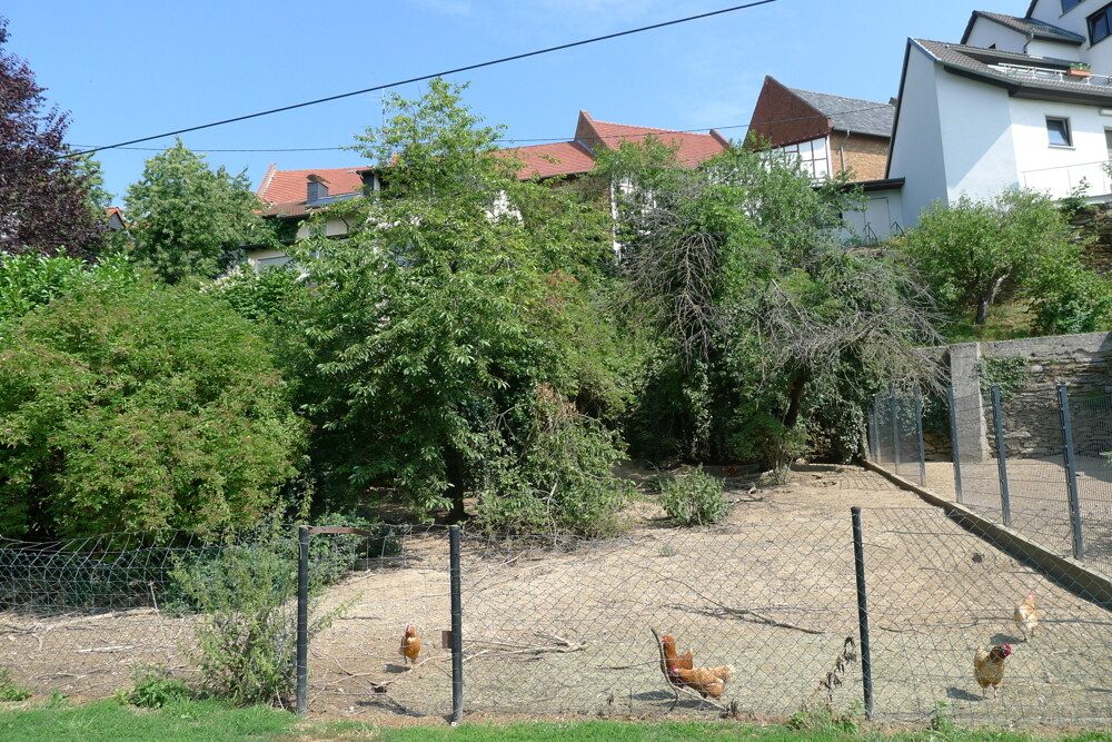 Immobilienangebot - Idstein / Walsdorf - Alle - Baugrundstück im alten Ortskern von Walsdorf, sehr ruhig und idyllisch
