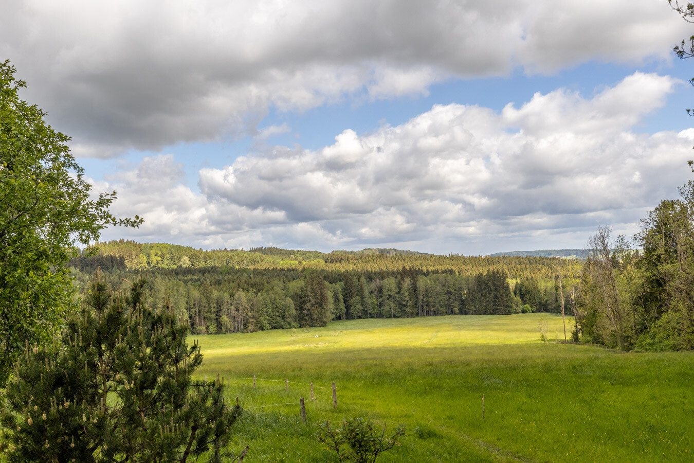 Immobilienangebot - Böhen - Alle - Ein Refugium für Individualisten - komplette Alleinlage - mit Feld, Wald & eigener Wasserquelle