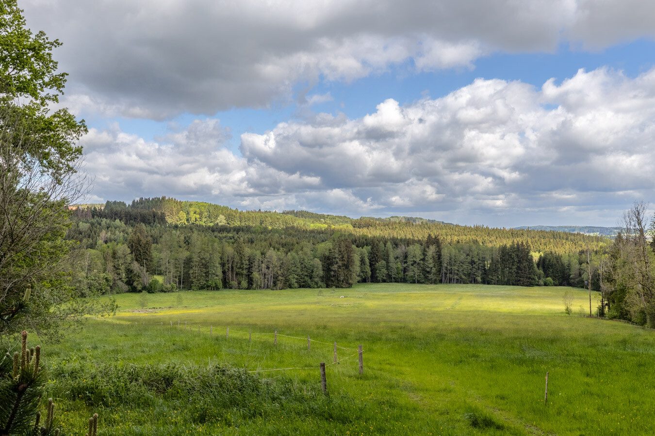 Immobilienangebot - Böhen - Alle - Ein Refugium für Individualisten - komplette Alleinlage - mit Feld, Wald & eigener Wasserquelle