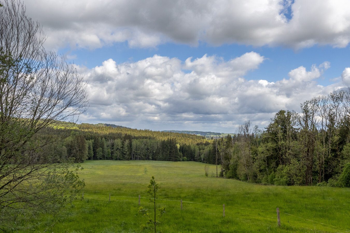 Immobilienangebot - Böhen - Alle - Ein Refugium für Individualisten - komplette Alleinlage - mit Feld, Wald & eigener Wasserquelle