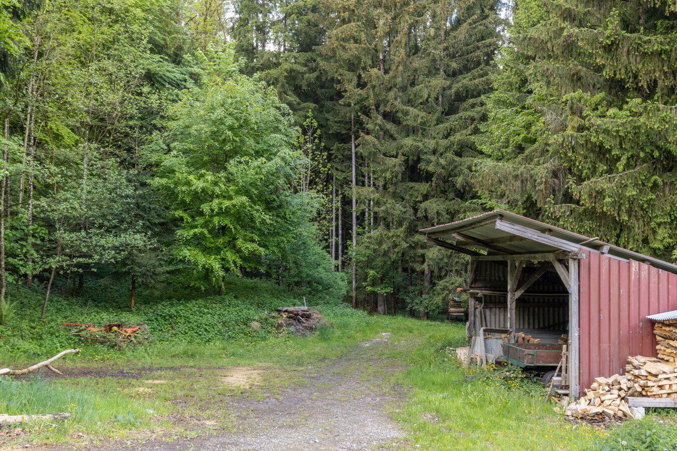 Immobilienangebot - Böhen - Alle - Ein Refugium für Individualisten - komplette Alleinlage - mit Feld, Wald & eigener Wasserquelle