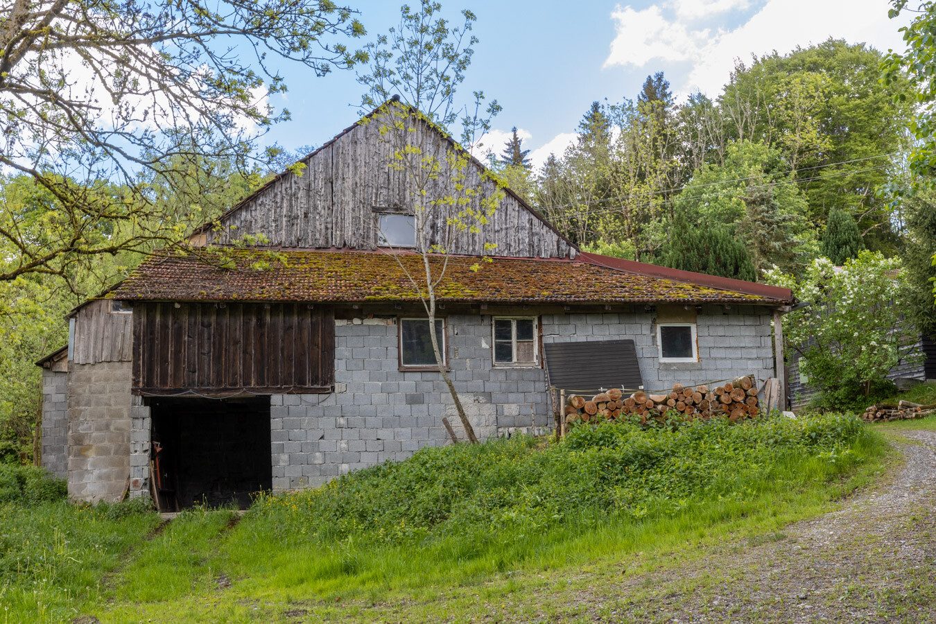 Immobilienangebot - Böhen - Alle - Ein Refugium für Individualisten - komplette Alleinlage - mit Feld, Wald & eigener Wasserquelle