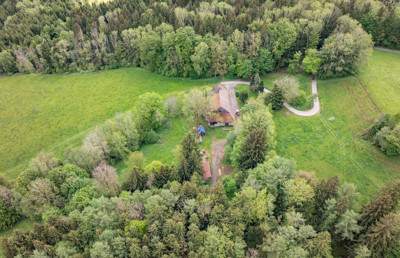 Immobilienangebot - Böhen - Alle - Ein Refugium für Individualisten - komplette Alleinlage - mit Feld, Wald & eigener Wasserquelle