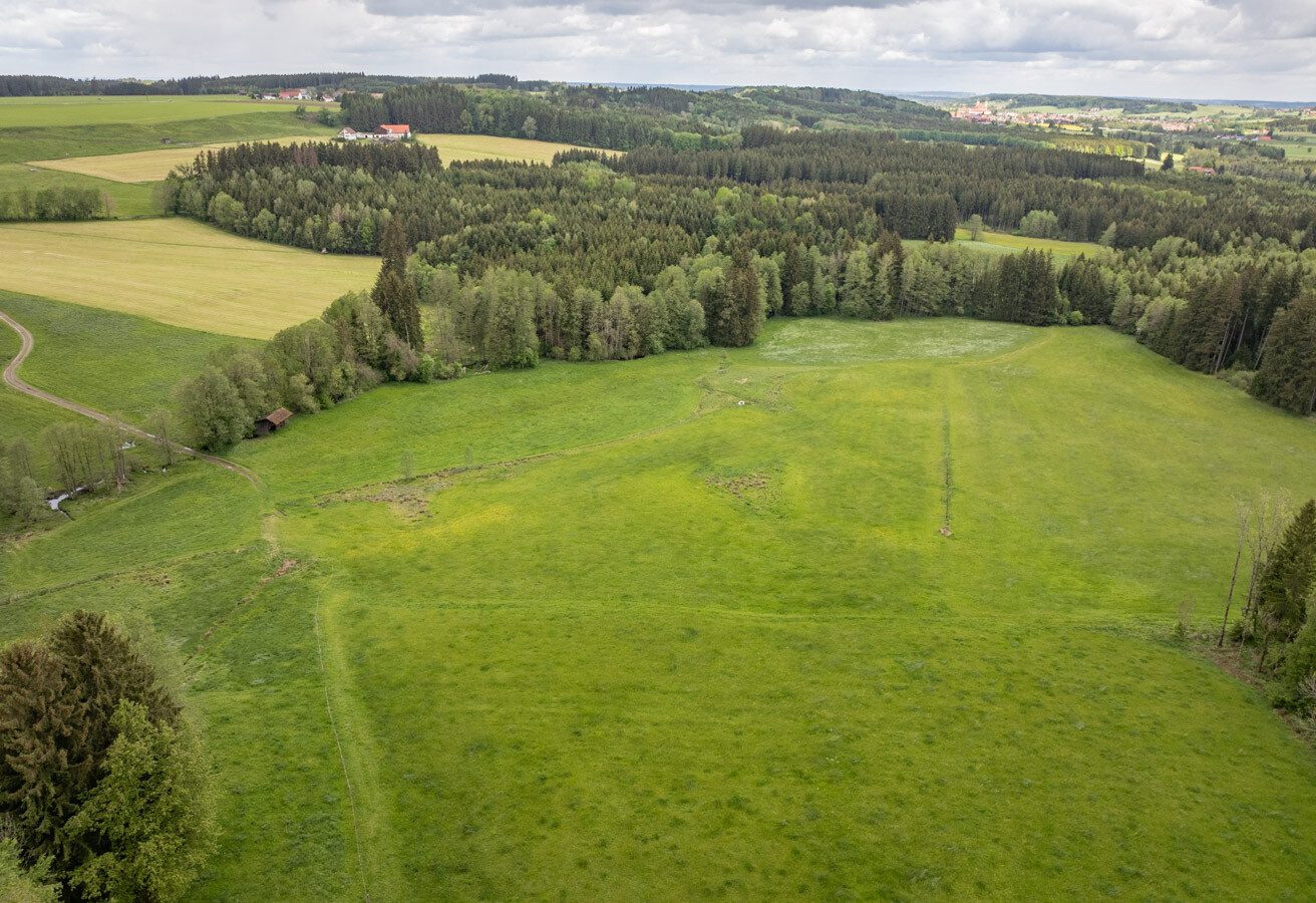Immobilienangebot - Böhen - Alle - Ein Refugium für Individualisten - komplette Alleinlage - mit Feld, Wald & eigener Wasserquelle