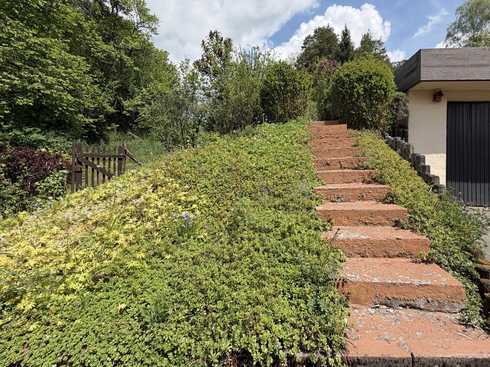 Immobilienangebot - Dornstetten / Aach - Alle - Familienglück. 7 Zimmer auf 133 qm.
Einliegerwohnung. Tolle Gartenoase. 
Zwei Garagen. TOP-Preis.