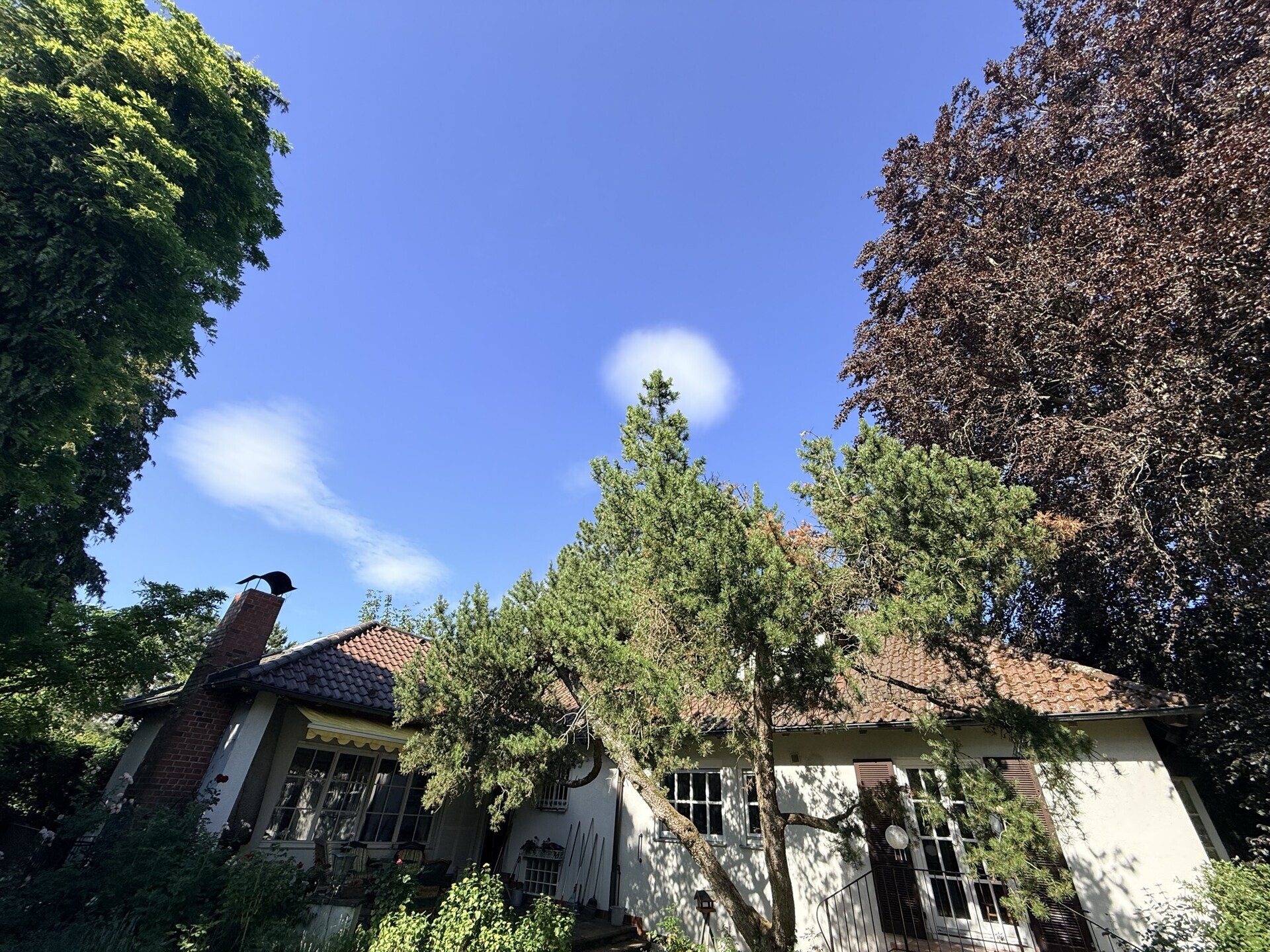Immobilienangebot - Stuttgart / Rohr - Alle - Repräsentative Villa mit Einliegerwohnung - 247m² Wohnfläche auf 952m² Privatgrund