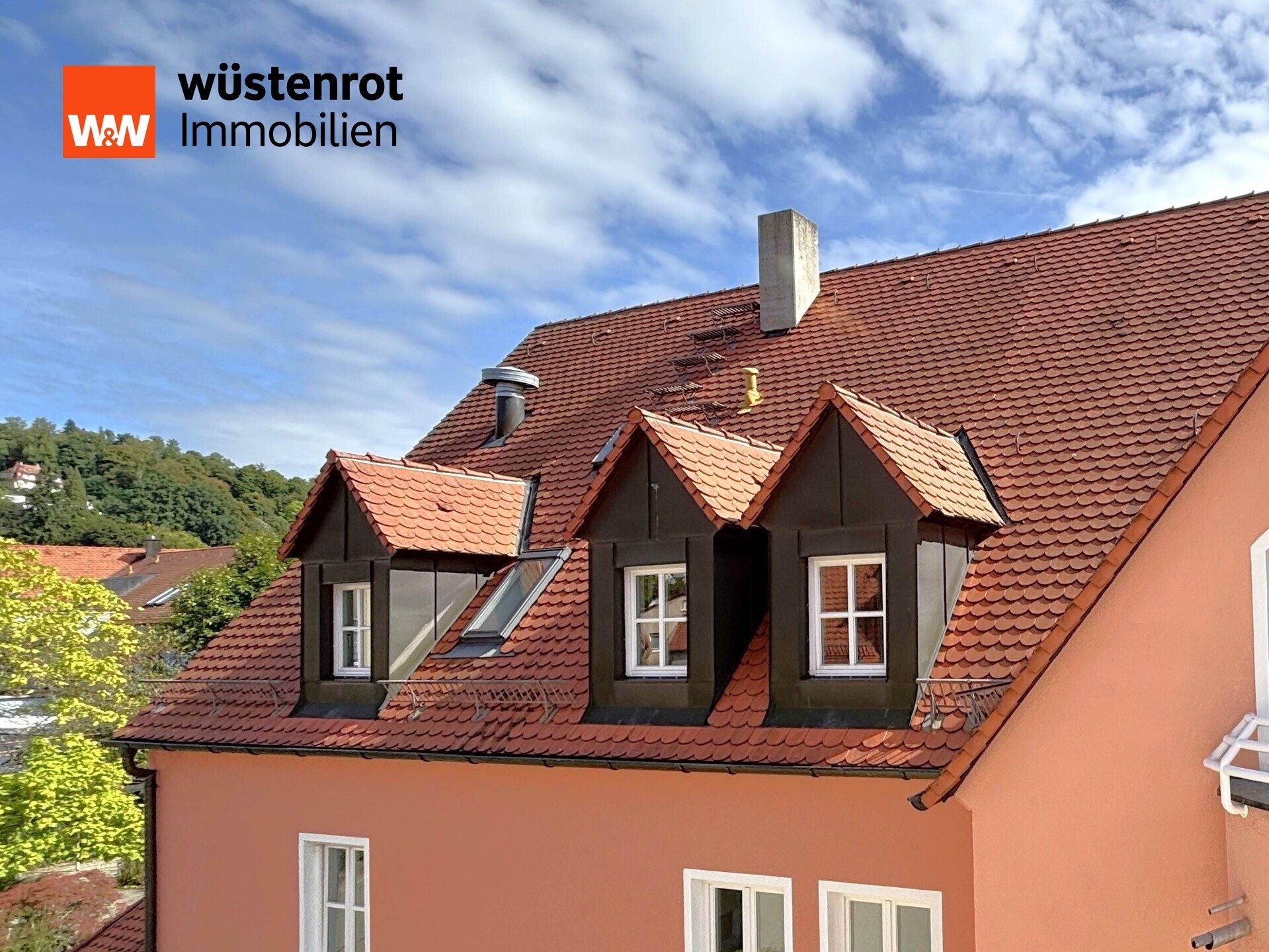 Immobilienangebot - Hersbruck - Alle - TOP renovierte 1-Zimmer-DG-Wohnung,
mit EBK, Aufzug und TG-Stellplatz in Citylage