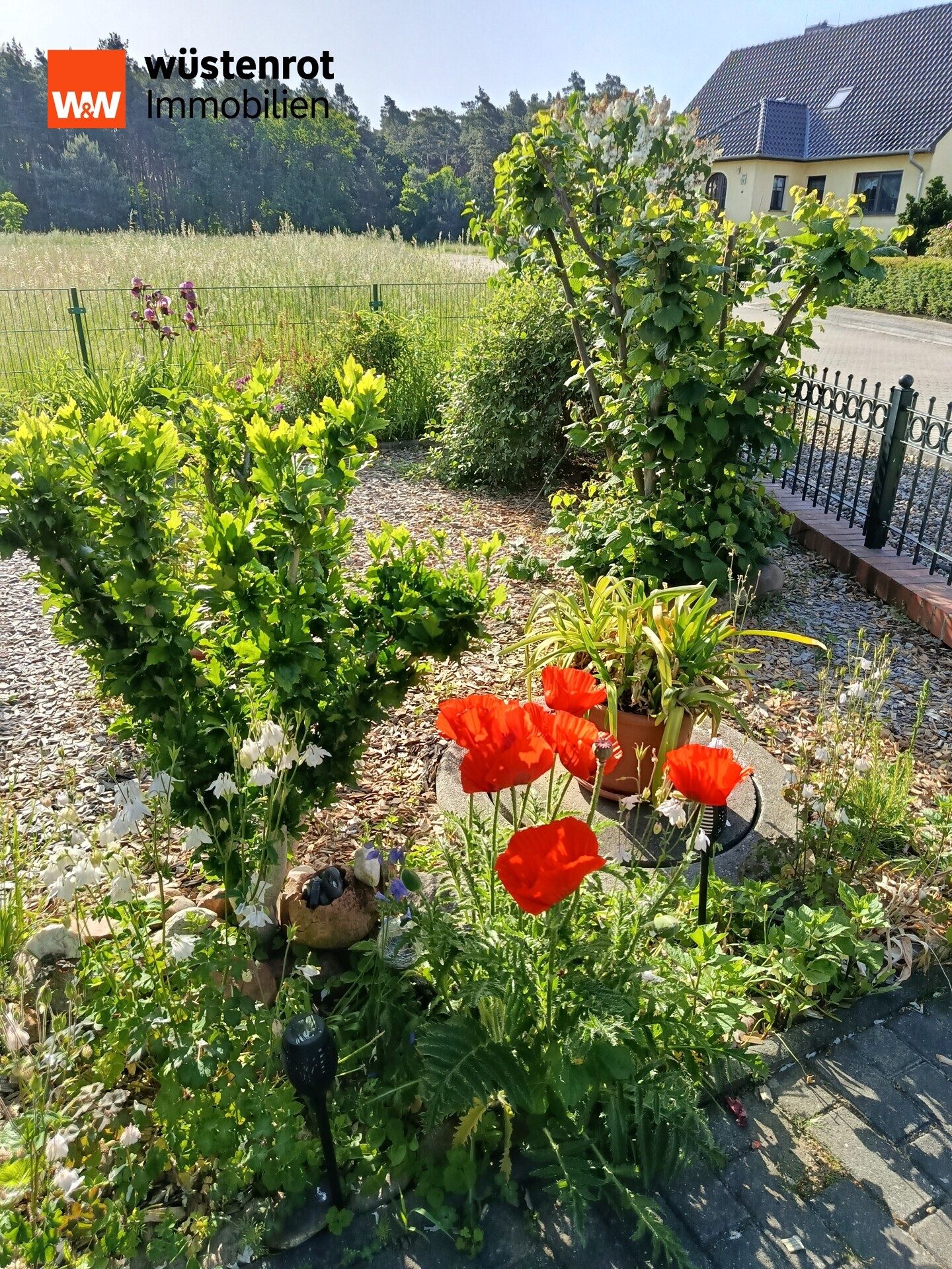 Immobilienangebot - Duben - Alle - Charmantes Einfamilienhaus mit Anbau, Vollkeller und Doppelcarport–Ihr neues Zuhause in Luckau/Duben