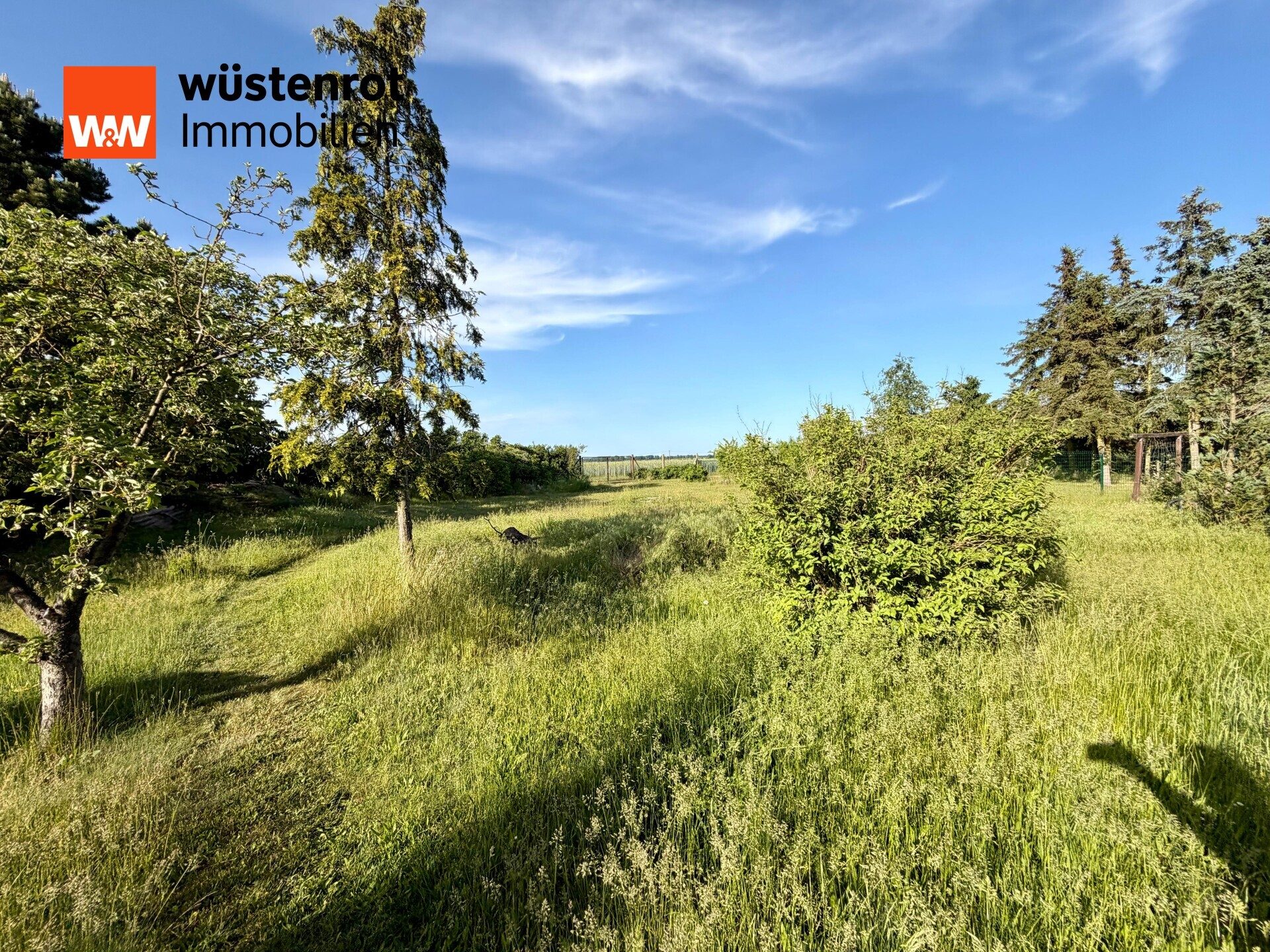Immobilienangebot - Doberlug-Kirchhain - Alle - Gepflegtes Familienidyll mit großem Garten, Nebengelass und moderner Wärmepumpe