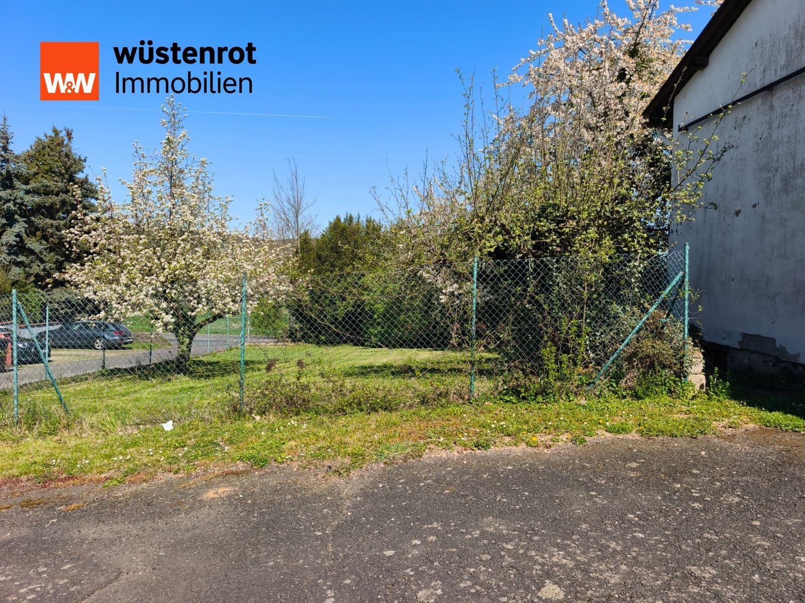 Immobilienangebot - Dorsheim - Alle - #Grosszügiger Hallenkomplex - Teil eines ehemaligen Weingutes - auf schönem Grundstück