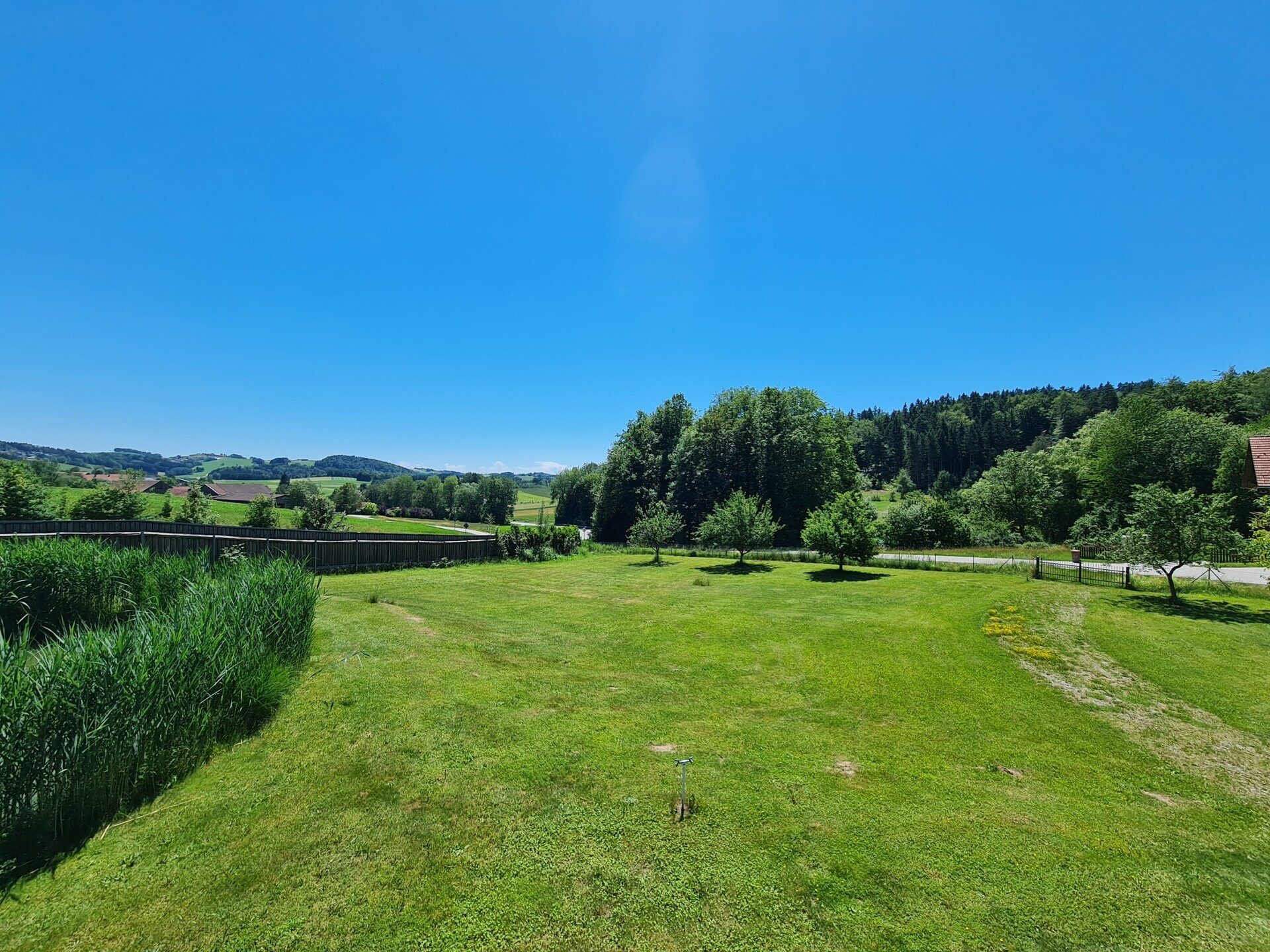 Immobilienangebot - Grafenau - Alle - Tür auf - Herz rein!
Modernes "Sacherl" in sonniger Lage, mit PV-Anlage, Teich und mega Garten.