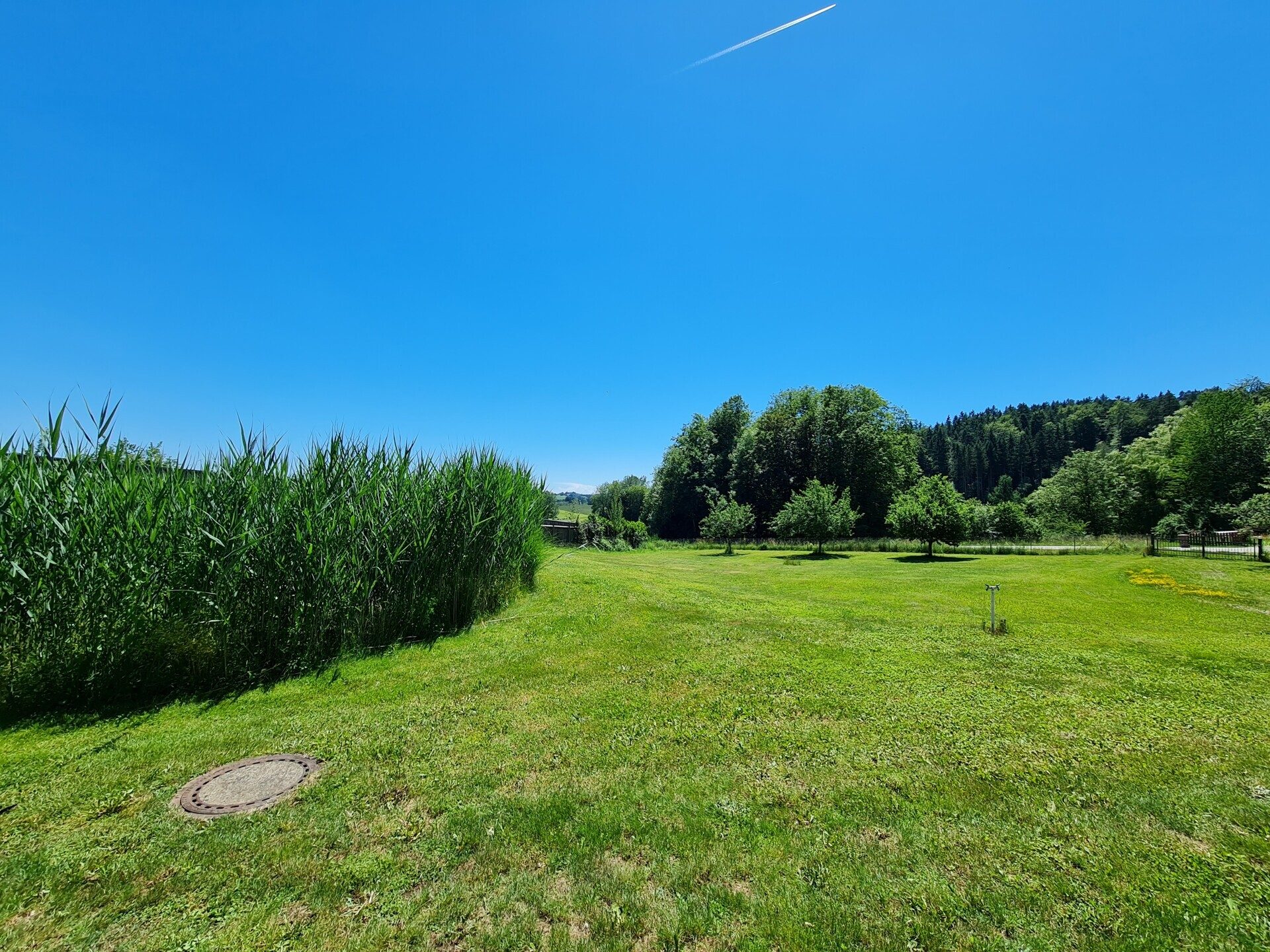 Immobilienangebot - Grafenau - Alle - Tür auf - Herz rein!
Modernes "Sacherl" in sonniger Lage, mit PV-Anlage, Teich und mega Garten.