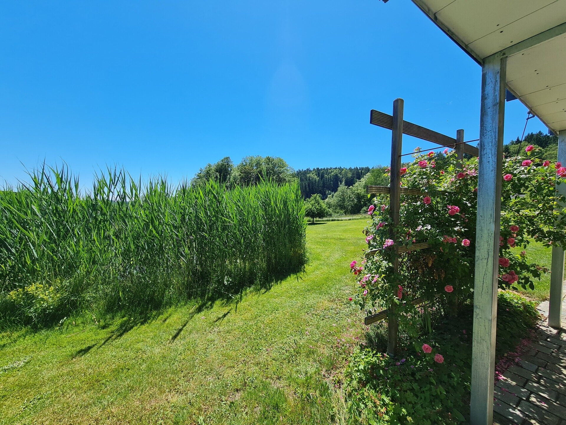Immobilienangebot - Grafenau - Alle - Tür auf - Herz rein!
Modernes "Sacherl" in sonniger Lage, mit PV-Anlage, Teich und mega Garten.